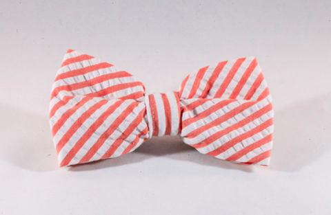 Preppy Coral Seersucker Dog Bow Tie