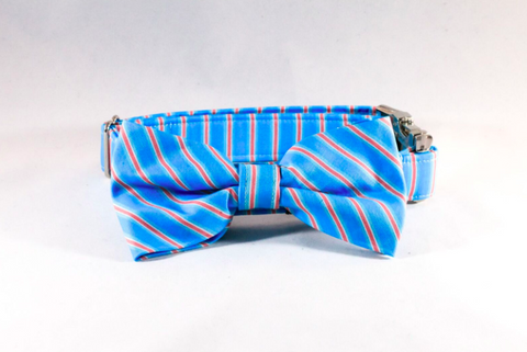 Preppy Aqua and Coral Seaside Stripes Dog Bow Tie Collar