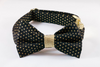 Black and Gold Polka Dot Bow Tie Dog Collar