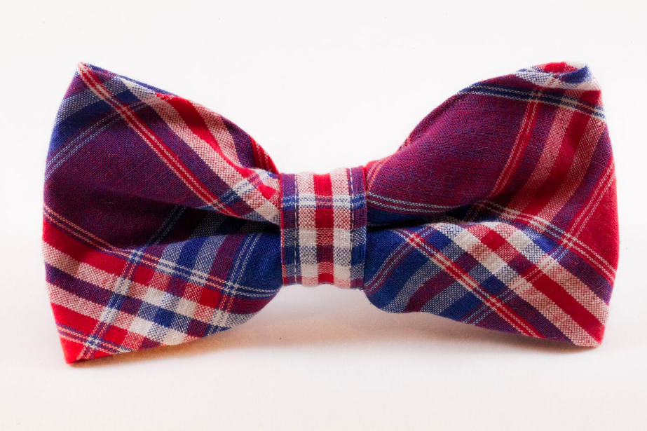 Red white and blue top dog bow tie