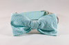 Preppy Mint Green Seersucker Bow Tie Dog Collar