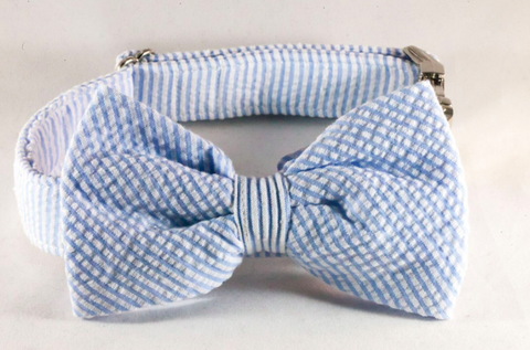 Preppy Classic Blue Seersucker Bow Tie Dog Collar