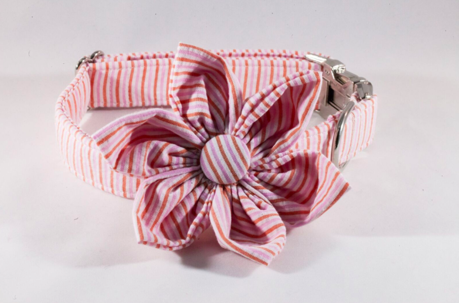 Preppy Pink and Orange Sherbet Seersucker Girl Dog Flower Bow Tie Dog Collar