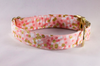 Champagne Pop Pink and Gold Polka Dot Dog Collar--Valentine's Day