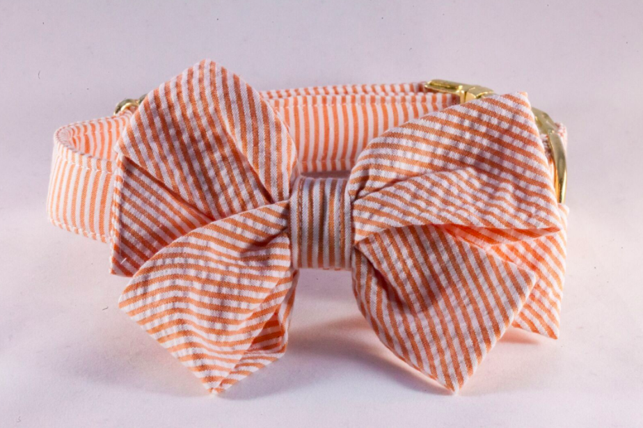 Girl dog bow 2024 tie