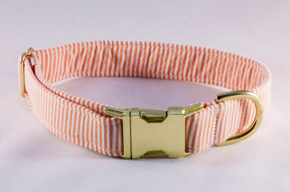 Preppy Classic Orange Seersucker Dog Collar