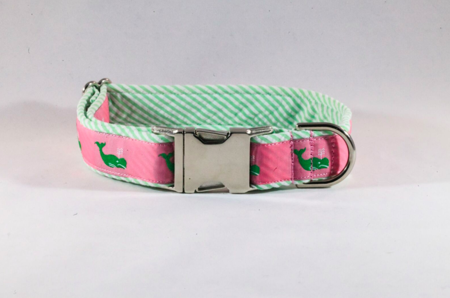 Whale clearance dog collar
