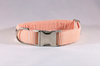 Preppy Football Orange Seersucker Dog Collar