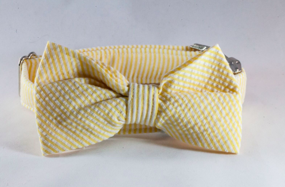Preppy Yellow Seersucker Bow Tie Dog Collar