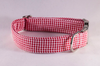 Preppy Classic Red Gingham Seersucker Dog Collar