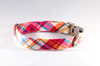 Preppy Pink and Orange Madras Dog Collar
