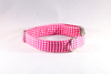 Preppy Hot Pink Gingham Dog Collar