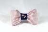 Preppy Blue and Orange Gingham UVA Cavaliers Football Dog Bow Tie Collar