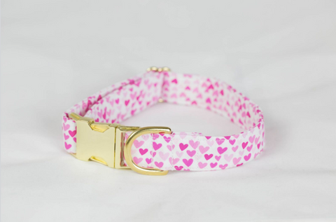 Preppy Pink Hearts Valentine's Day Dog Collar